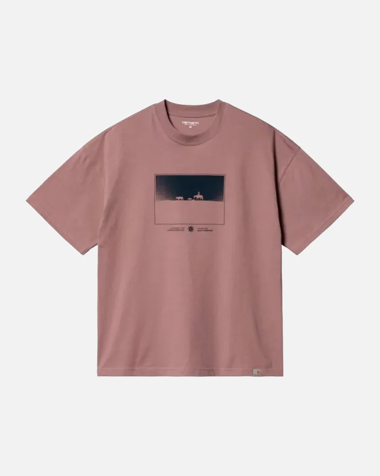 Футболка CARHARTT WIP Nomads