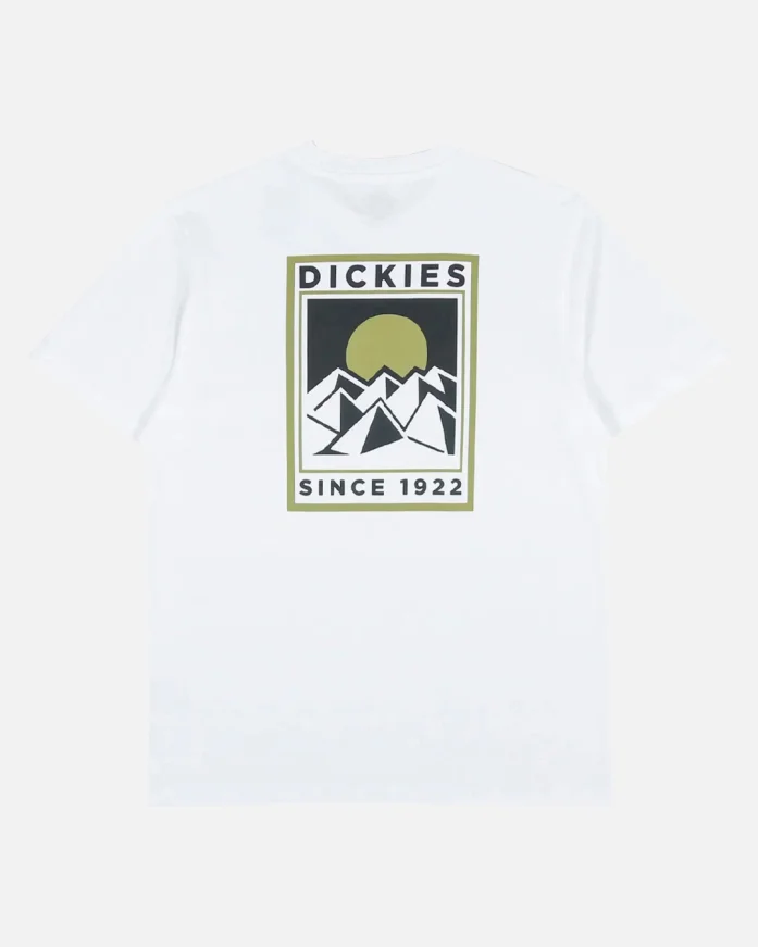 Футболка DICKIES Pacific