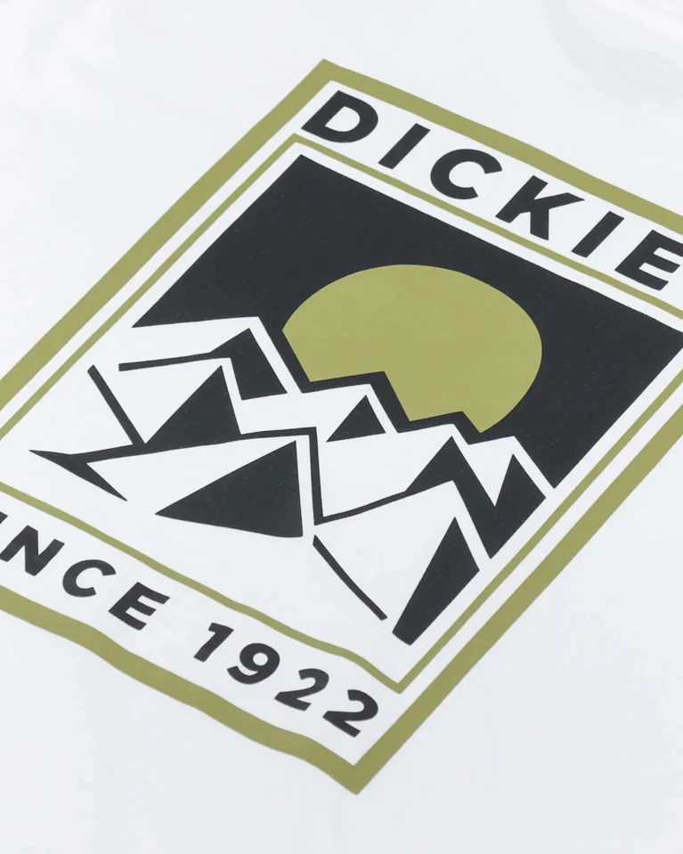 Футболка DICKIES Pacific