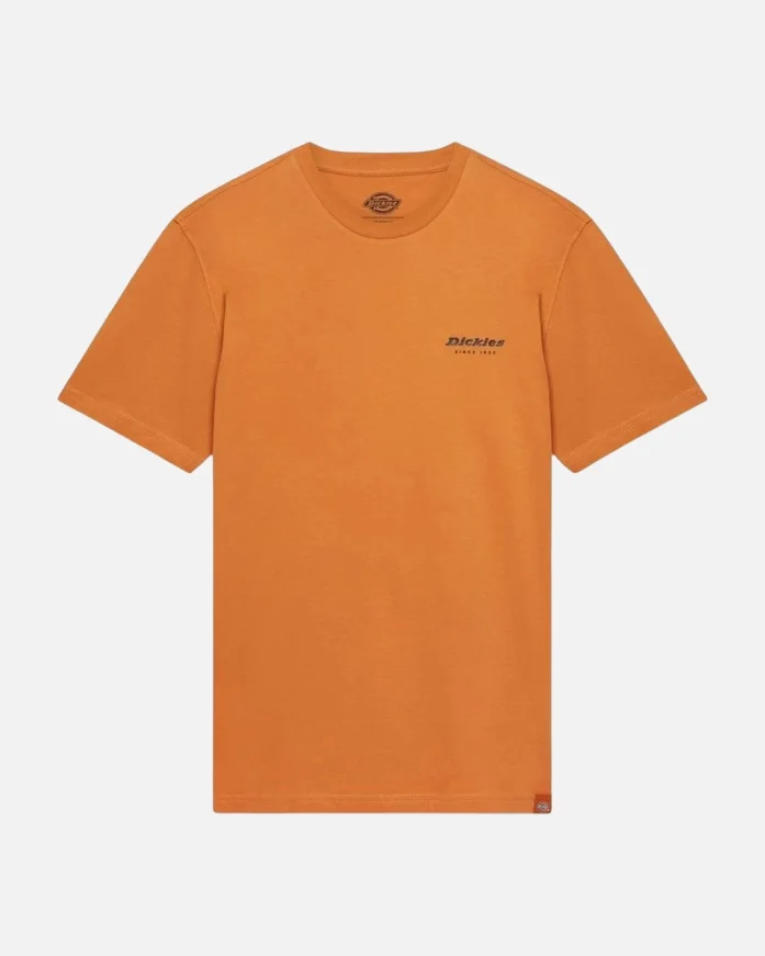 Футболка DICKIES Artondale Box